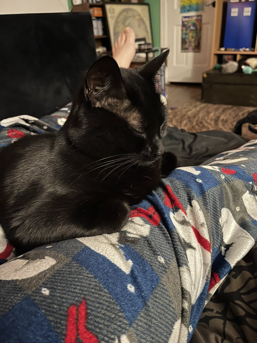 Data says happy new year! She’s very tired