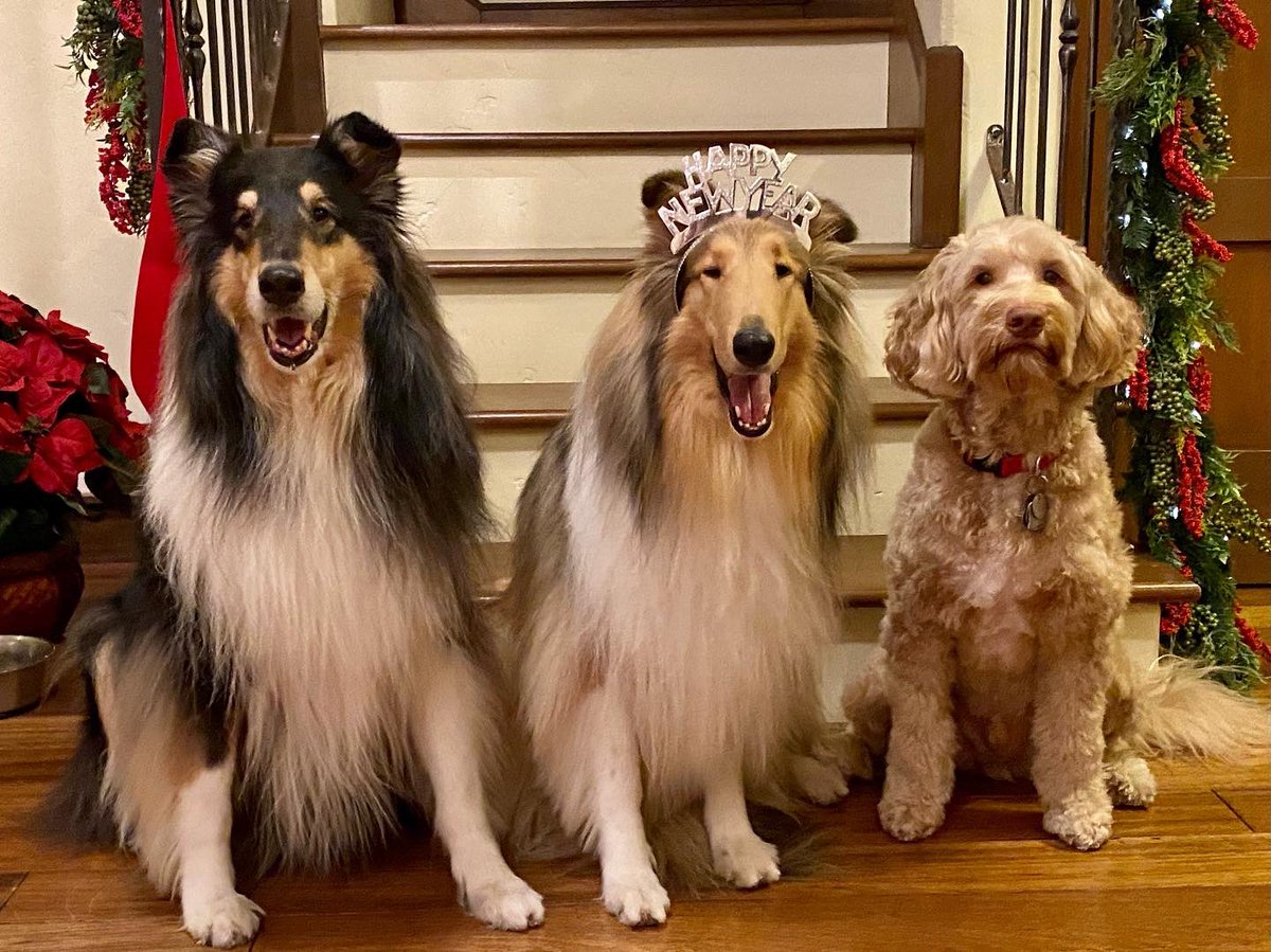 Happy New Year from Seattle!