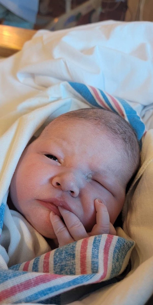 mmkarthauser's tweet photo. Last year, I gave birth to Cordelia Fae Yvaine &amp; this year, I gave birth to Archer Scott Eugene.
I couldn't be happier 💜💚 https://t.co/r5jegQOC9v