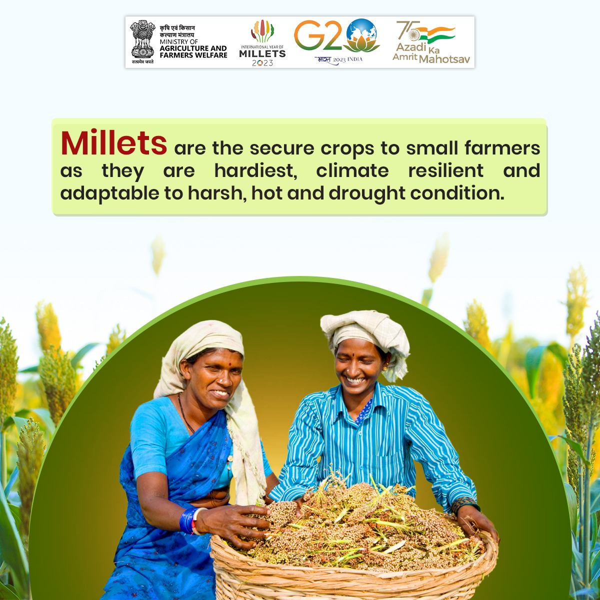 Millets are considered to be one of the most secure crops for small-hold farmers as they can survive in extreme harsh climate, are drought-resilient and can grow in low fertile land. 

#IYM2023 #YearofMillets
<a href="/PMOIndia/">PMO India</a> <a href="/nstomar/">Narendra Singh Tomar</a> <a href="/KailashBaytu/">Kailash Choudhary</a> <a href="/g20org/">G20 United States</a> <a href="/ShobhaBJP/">Shobha Karandlaje</a> <a href="/FAO/">Food and Agriculture Organization</a> <a href="/AgriGoI/">Agriculture INDIA</a>