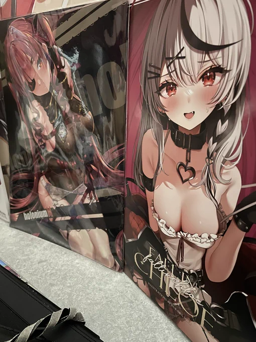 ねぎせんせの新刊キターーー遅いお昼食べてたらメロブから届いたクロヱちゃん好きにはヤバい内容それに画面で見るのと紙面で見るのとでまた違う良さがあります。表紙からもう可愛いので見ない時は飾っておきます 