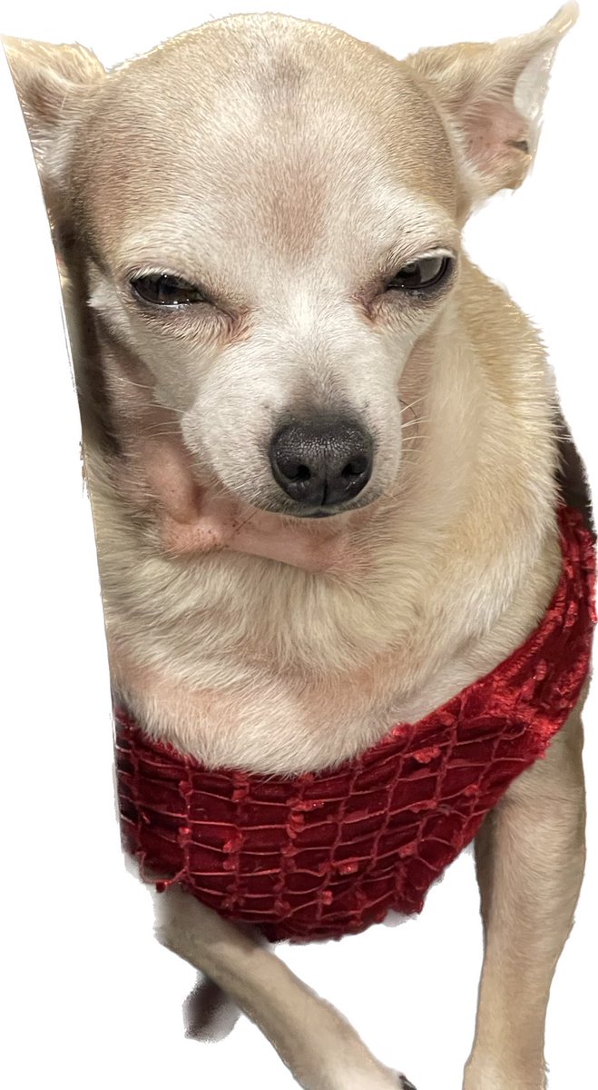 Hulkalicious's tweet photo. Not a fan of these fireworks!
#LonestarNYE https://t.co/3UXs0vGk1w
