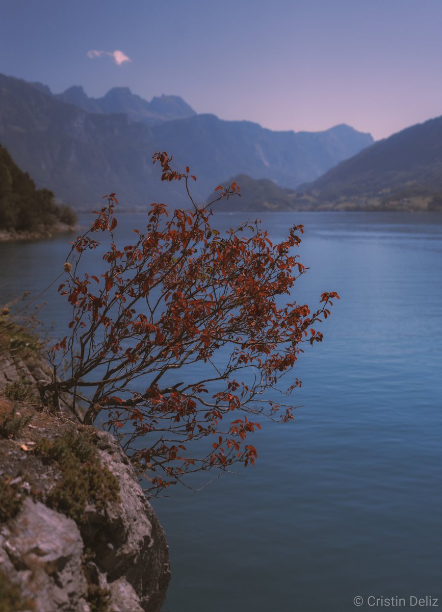 Walensee lake...

#switzerland🇨🇭 
#landscapephotography 
#photooftheday 
#sunsetphotography 
#switzerland_vacations 
#lakephotography 
#travelphotography