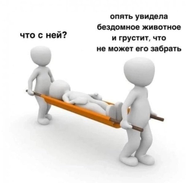 🐸Великое Колено🐸 tweet media