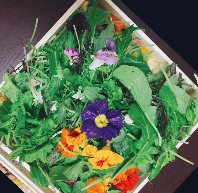 夜のおせち花畑や〜 