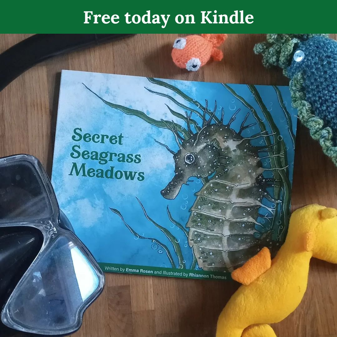 Secret Seagrass Meadows is free today on Kindle. If you'd like a read, grab a copy! And if you enjoy it I would love for you to leave a review.

#freeonkindle #kindle #secretseagrassmeadows #happynewyear #seaside #beach #amazonbook #amazonreview