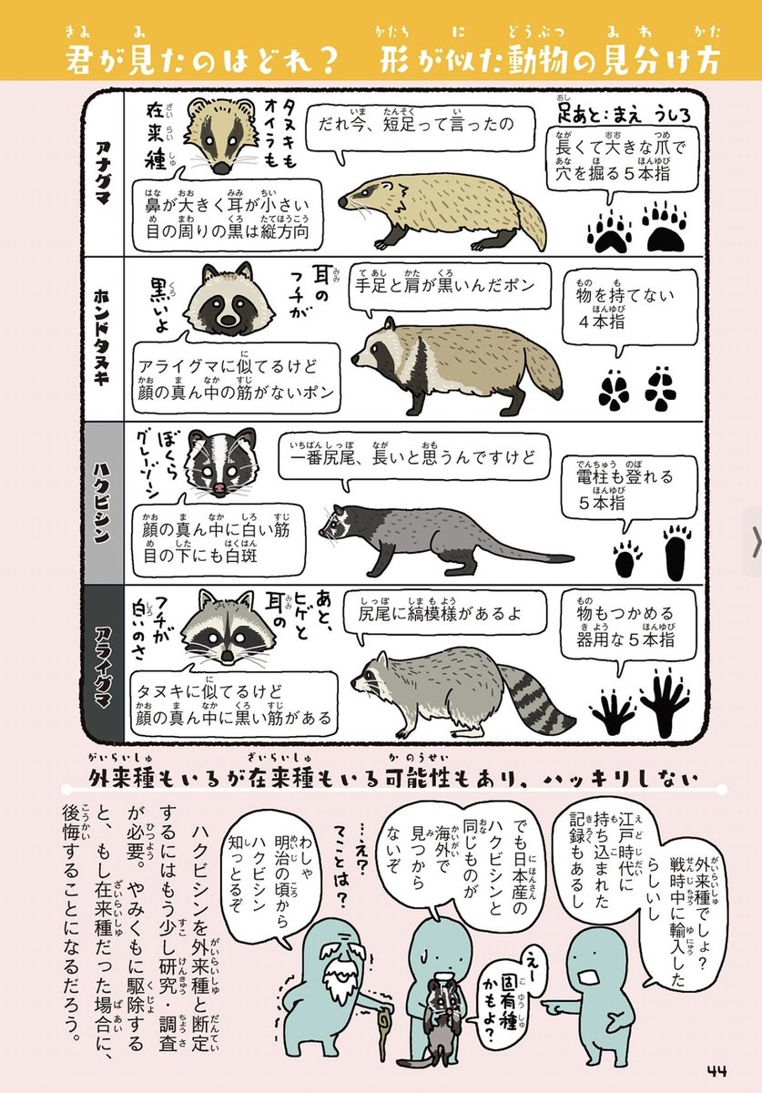 🦝アライグマのすき焼き🍲が出るらしいので、キュートな見た目とは裏腹に超凶暴。70年代のアニメ人気で持ち込まれ年間うん億の農業被害を出すアライグマの見分け方。ちなみにラスカル(Rascal)ってのは「人でなし・悪党」という意味です。

#外来いきもの図鑑
https://t.co/BGCQmA2Ocp

#格付けチェック 