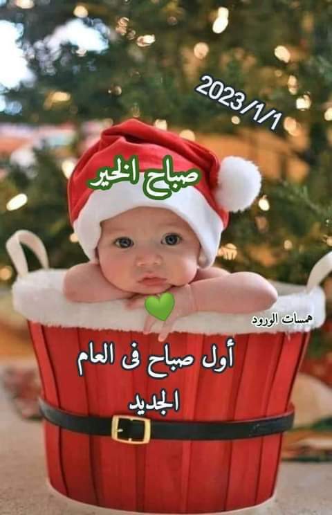 ahmed abd elnaseer (@ahmedaisa2022) on Twitter photo 