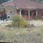 ツイートに含まれる画像