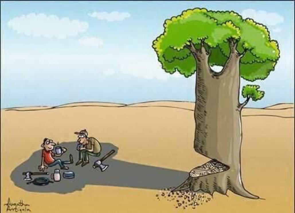 greenpeacesom's tweet photo. #Sustainable2023 RT if you will #PlantTree in 2023

🌳Trees provide #food

🌳Trees protect the #land

🌳Trees help us #breathe

🌳Trees provide #shelter &amp; #shade

🌳Trees encourage #biodiversity

🌳Trees provide sustainable #wood

🌳Trees conserve #water
@sonrrec @greenpeacesom https://t.co/DnvDc7gtv7