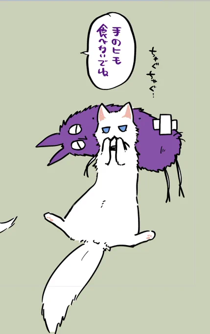 ぬいぐるみがきにいった読猫ロ様 