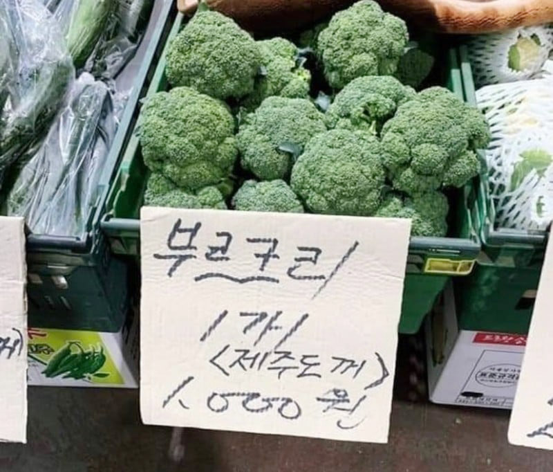 웃짤러 tweet media