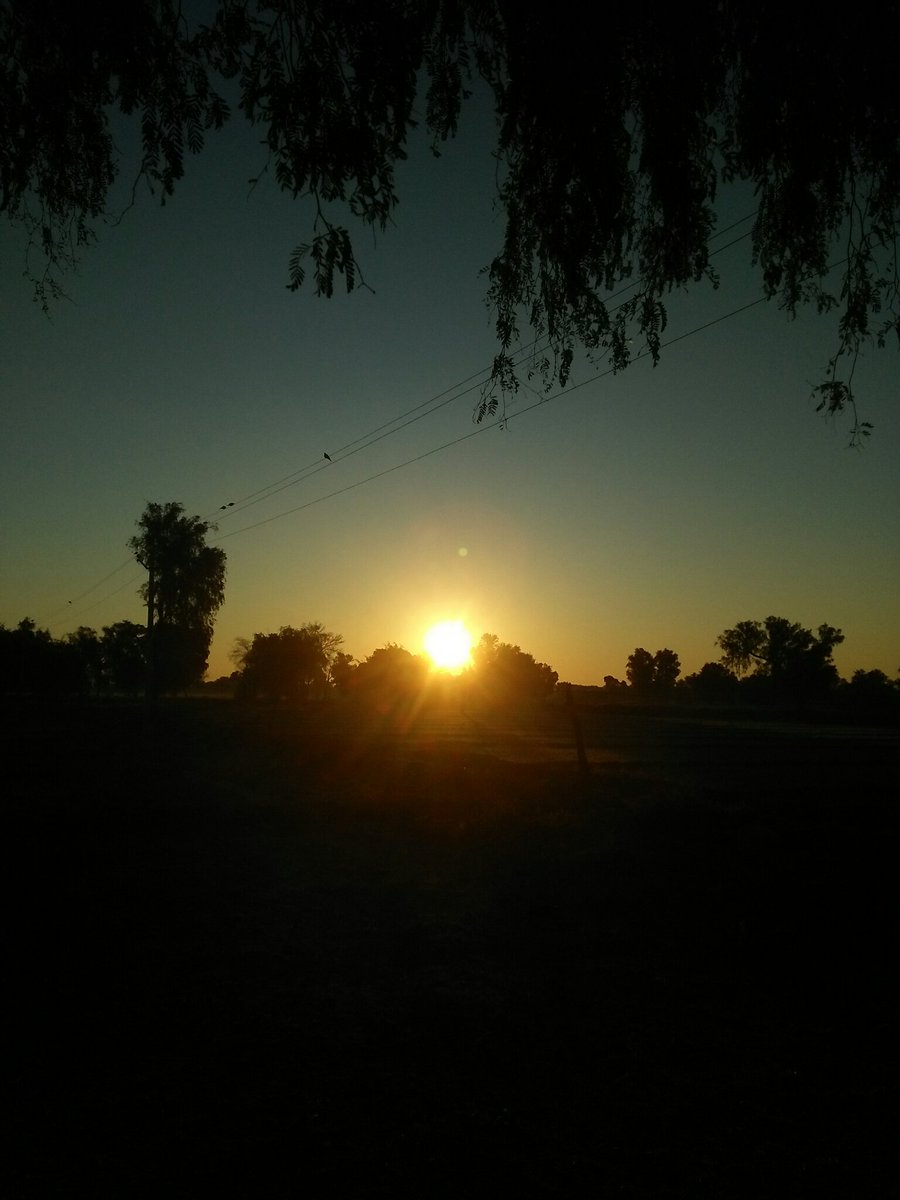 Anil_ChoudharY5's tweet photo. first sunrise of 2023 🎉
#HappyNewYear2023
#HappyNewYear 
#LOVE_U_All😘 https://t.co/iuztUXXYAl