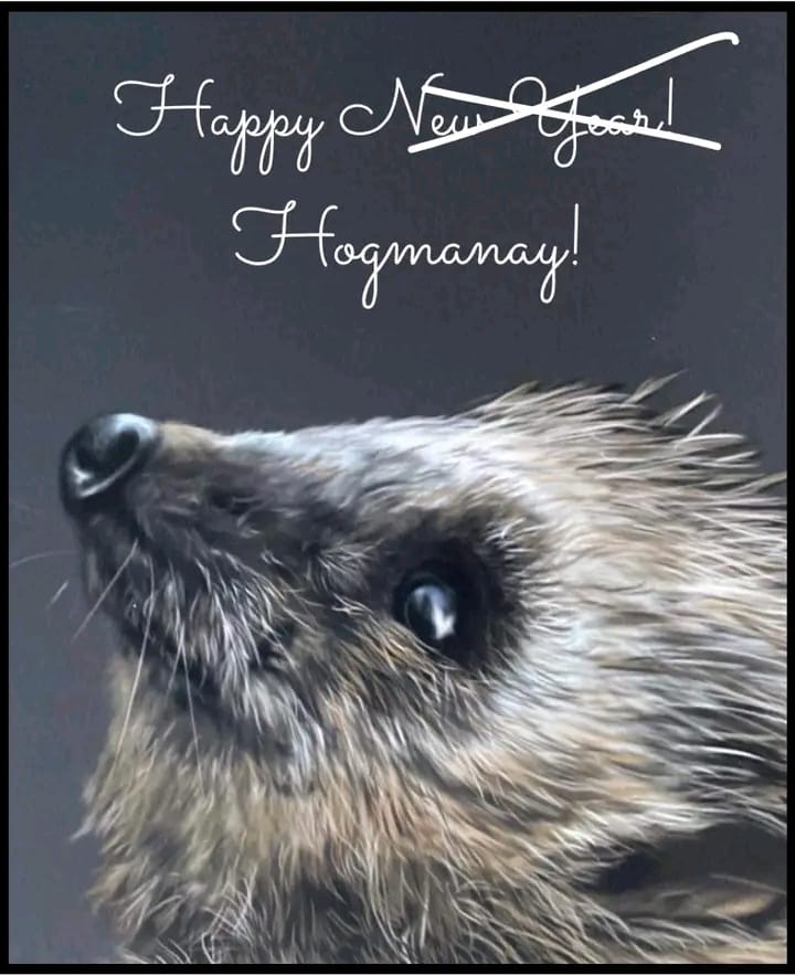 Array4H's tweet photo. ❤️🦔🦔❤️ https://t.co/xXQuUvQqBj