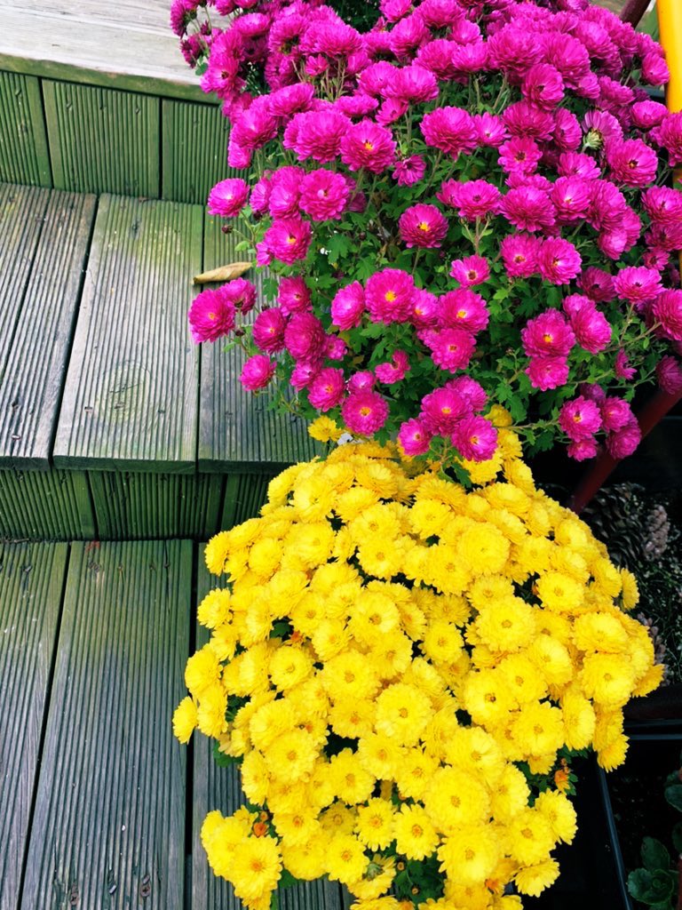 때로는 안부를
묻고 산다는게 얼마나
다행스런 일인지

안부를 물어오는
사람이 어딘가에 있다는게 얼마나
다행스런 일인지

그럴 사람이 있다는게
얼마나 다행스런
일인지

/안부 - 김시천