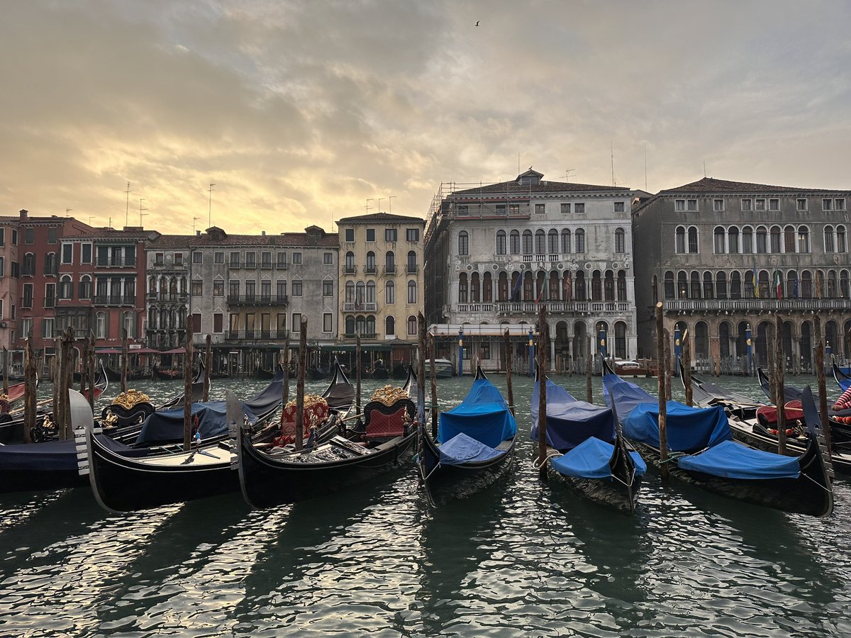 🌤 «Ci sono due modi di vivere la tua vita. Una è pensare che niente sia un miracolo. L’altra è pensare che ogni cosa sia un miracolo» (Albert Einstein). Buongiorno, amici. Di tutto cuore e musica, buon anno! #CapodannoFenice