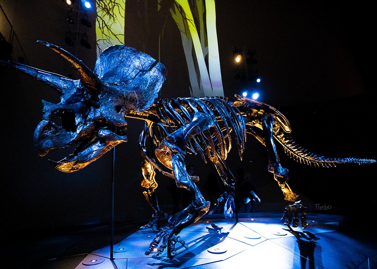 A bit of mood lighting in Melbourne.