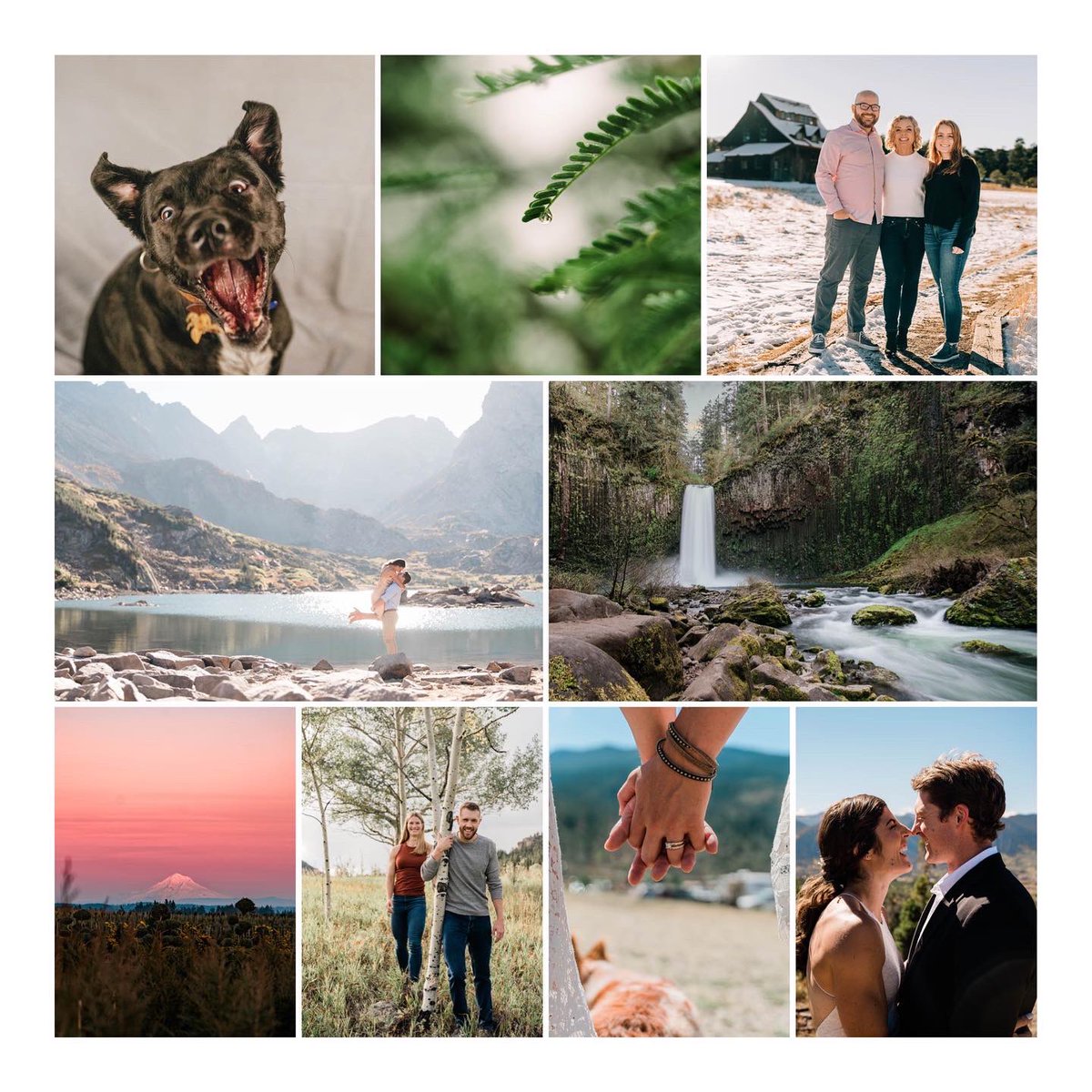 FosterImagery's tweet photo. IRL photography year in review 📸 https://t.co/asYKpF4gSw