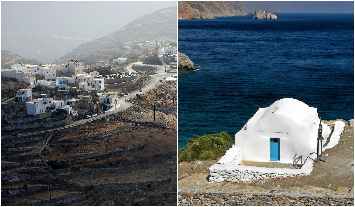 Adamantia tweet media