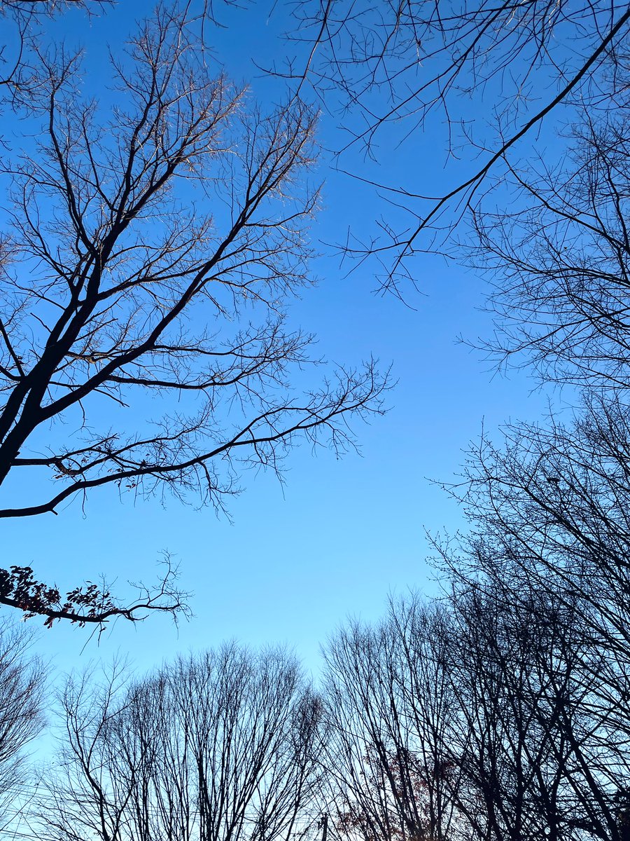「2023年初ランニング行ってきた!新年から天気が良くて気持ちいい。適度な運動のお」|犬威赤彦🎸ぼざろ新刊委託中🎸のイラスト