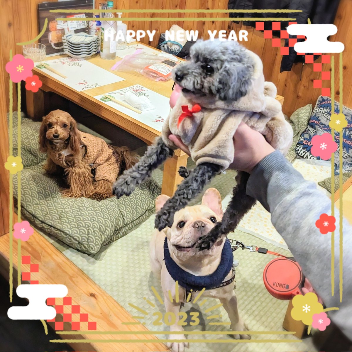 hapitan_marupu's tweet photo. ⁡年越しはイツメンと年越しワンコ蕎麦🐶🍜
⁡人間共も美味しいお蕎麦とお屠蘇をいただいたよー😆🎶⁡
⁡今年もみんな仲良くしてねー🐶🎶⁡
⁡#マルプー #トイプードル #ペキニーズ #フレンチブルドッグ⁡⁡
#いぬのいる暮らし
#年越し🍻⁡⁡
#ワンコと乾杯🐶🍻 #飲み活✨ ⁡#忘年会からの新年会🍻⁡ https://t.co/qmaDx5CaQy