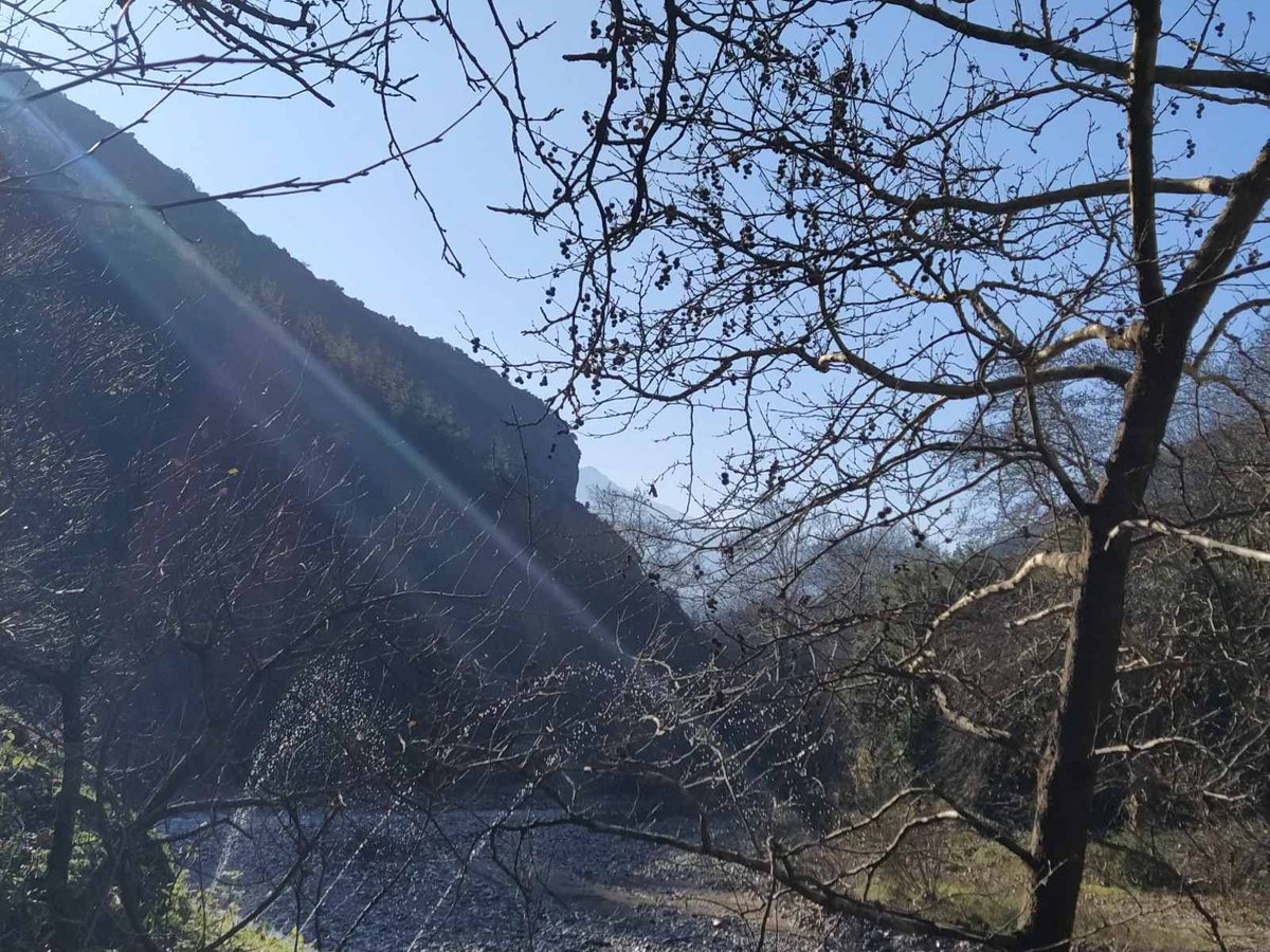 eleutheria tweet media