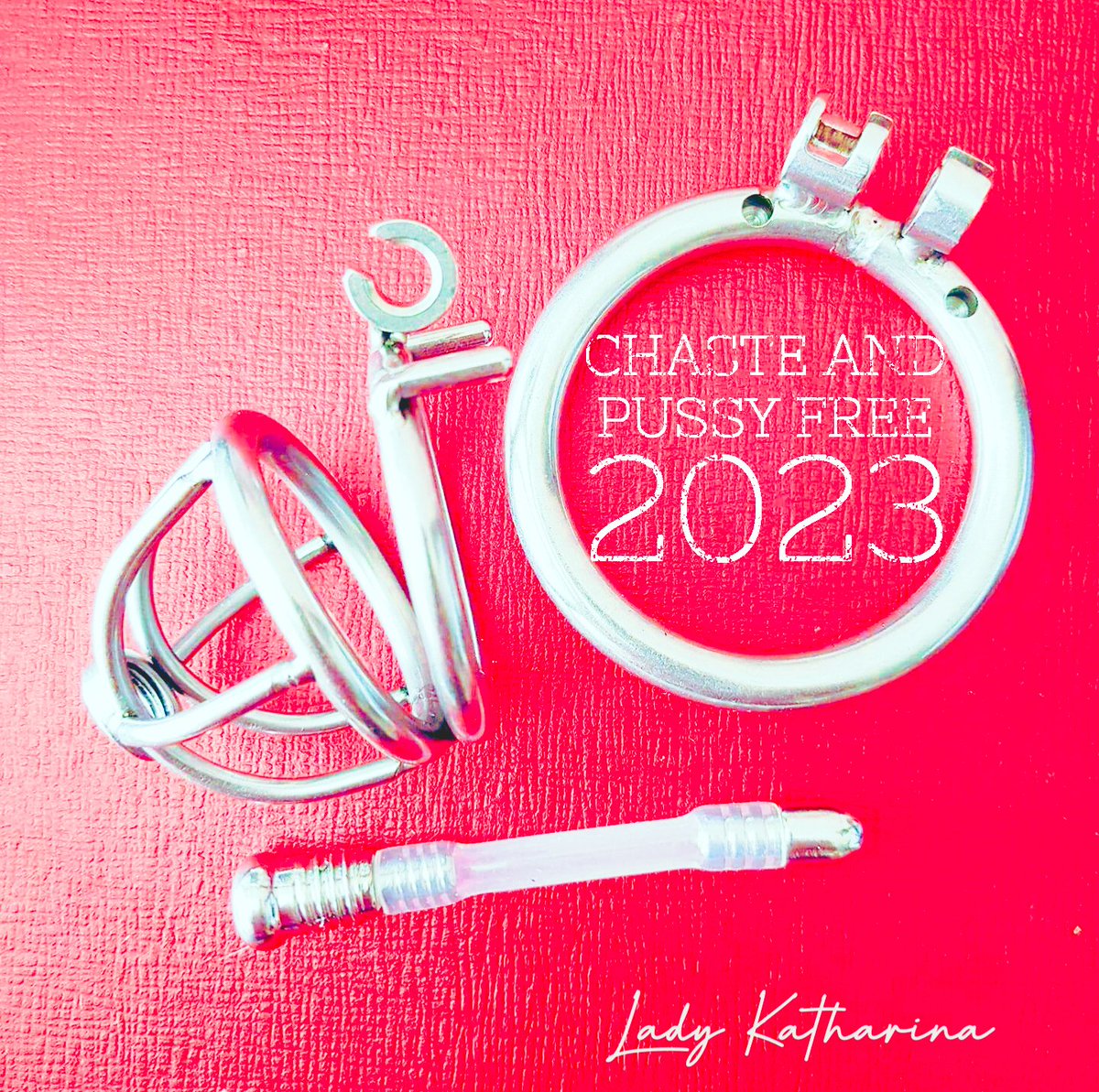 Es ist Zeit, die guten Vorsätze umzusetzen und dein erbärmliches Schwänzchen in einen Käfig zu stecken!! Antreten Loser!

Stay chaste and pussy free