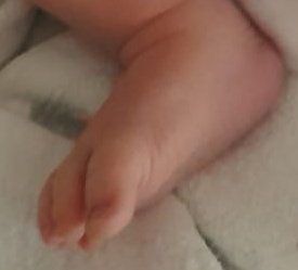 Foto cedida por Hospital Gregorio Marañón 