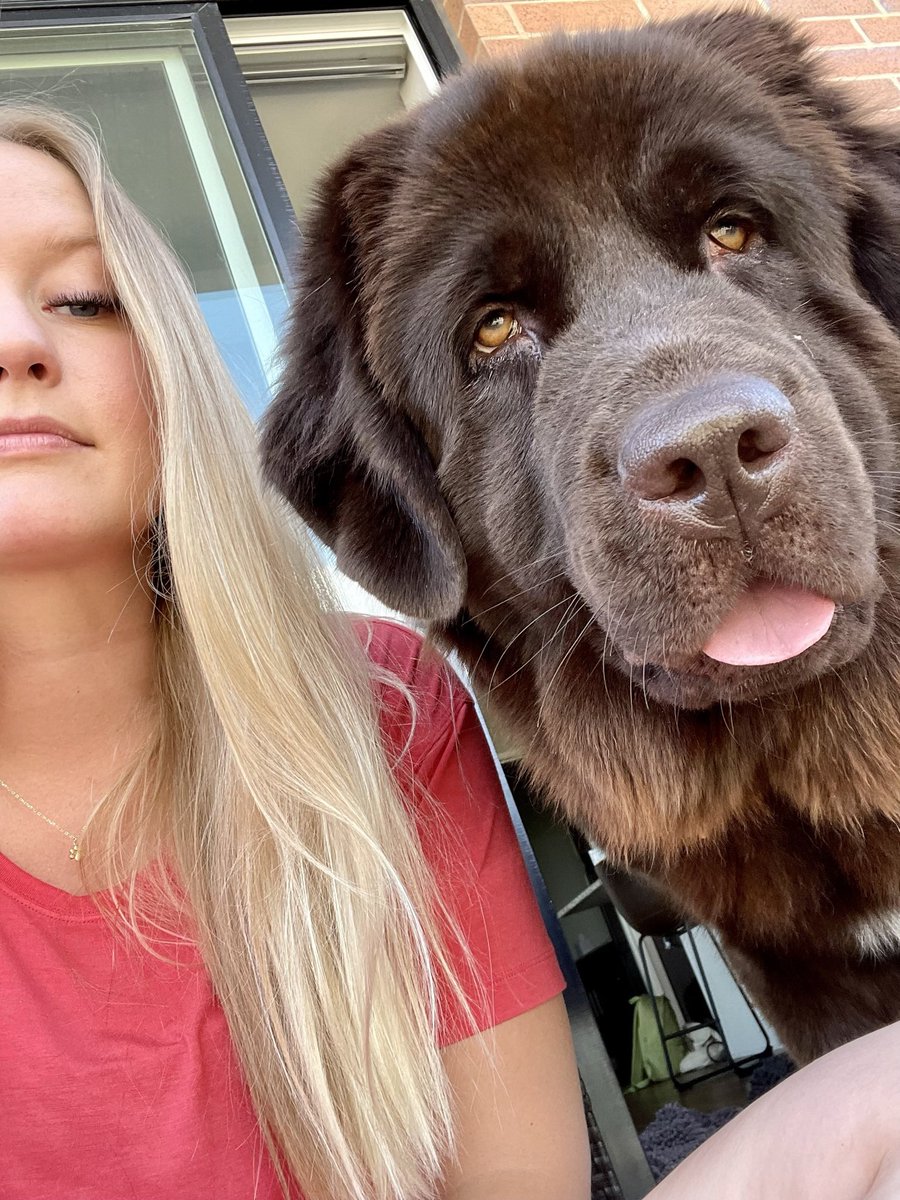 Doooolia's tweet photo. @PFTCommenter This newfer is the best decision I’ve ever made, snuggly ball of fluff and drool https://t.co/OQFKj0eoMJ
