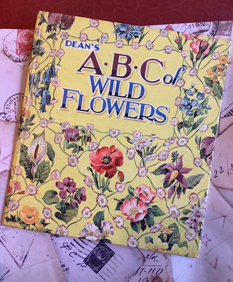 WatsonsVintage's tweet photo. A #Rare and BEAUTIFUL #60thBirthdayGift in my #etsyshop RARE #Vintage #1963 #FirstEdition Dean's 'A.B.C of Wild Flowers' in Hardback Verses by #MargaretBarr #PrettyPictureBook - 60th Birthday Gift https://t.co/2pHAalQ3w8 #ABCOfWildFlowers #GiftToTreasure #PoetryLoverGift https://t.co/bw8QNEXmy3