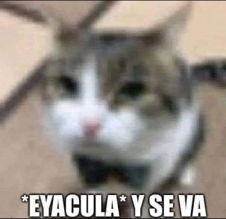 MisaaStay_'s tweet photo. @xKatlyne Feliz año cuasas que la vieja pelona mande saludos https://t.co/mRgAqzAqOS