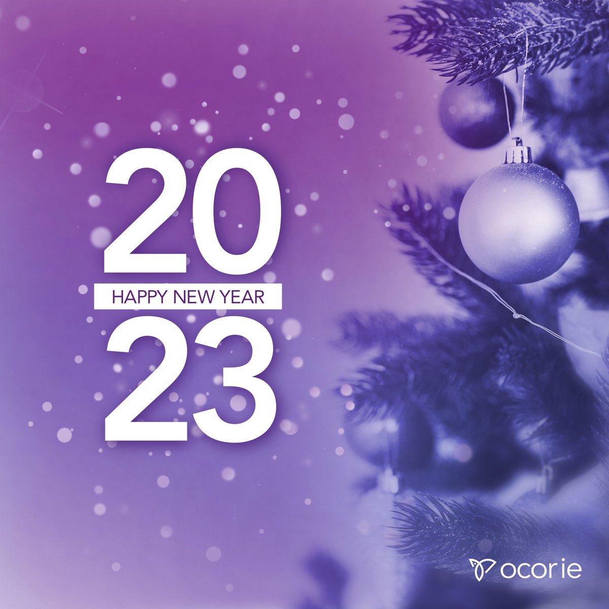 ocoriegh's tweet photo. Wish you an awared and secured 2023! Happy new year. 
#NewYear2023 #HappyNewYear https://t.co/S3S7TxnCIS
