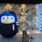 下田海中水族館のツイート画像