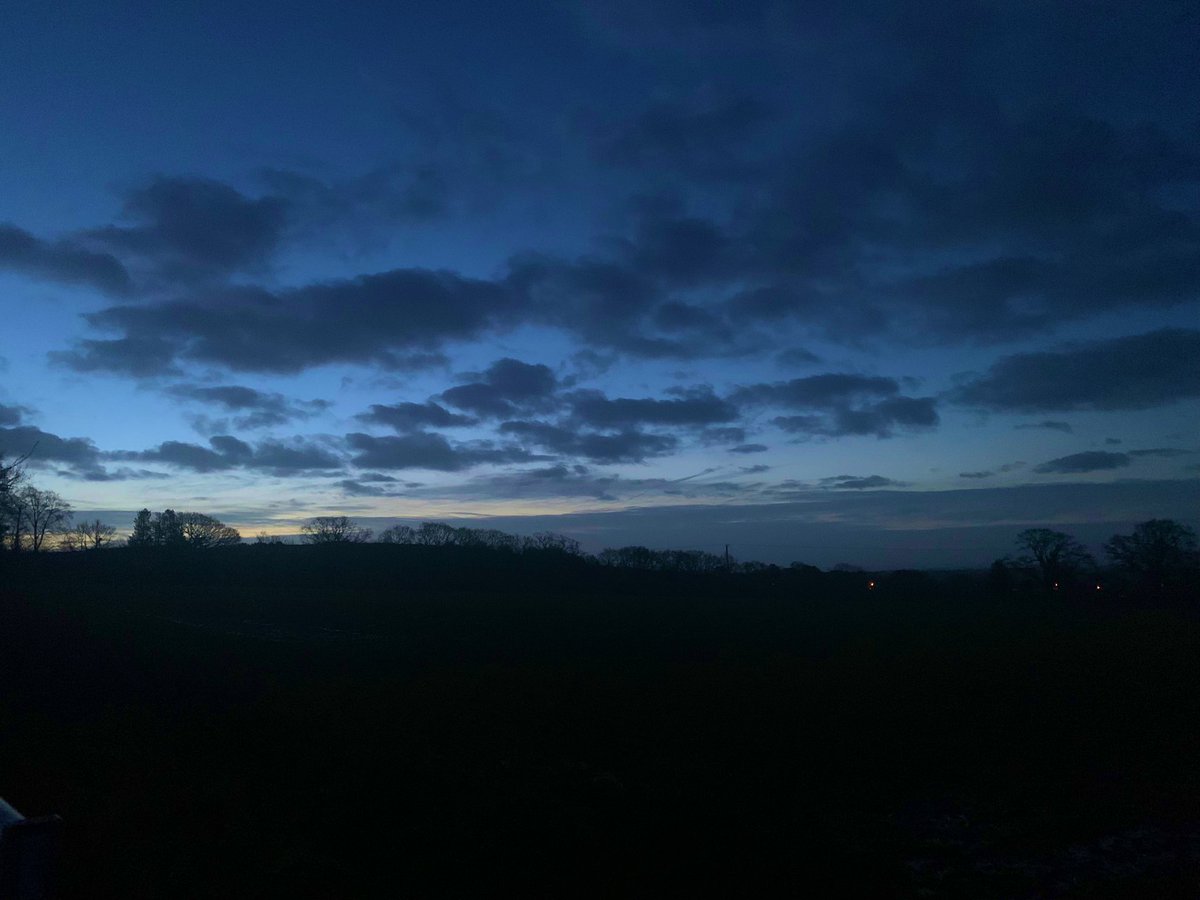 Noeleen Murrin tweet media