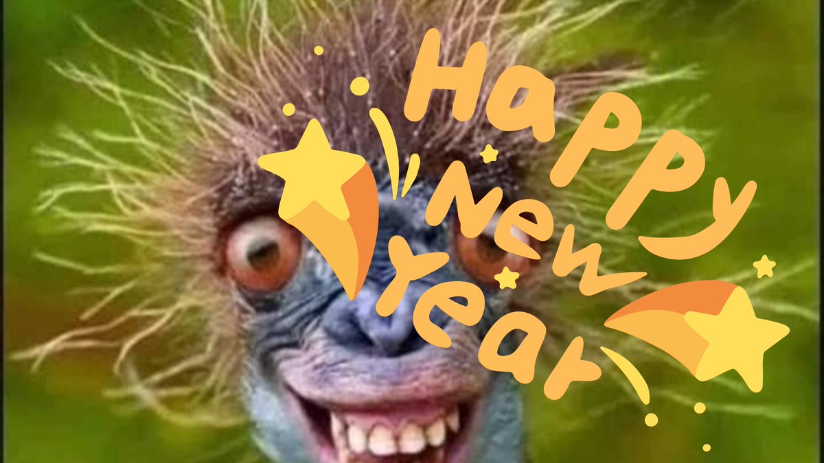 Saint Etienne tweet media