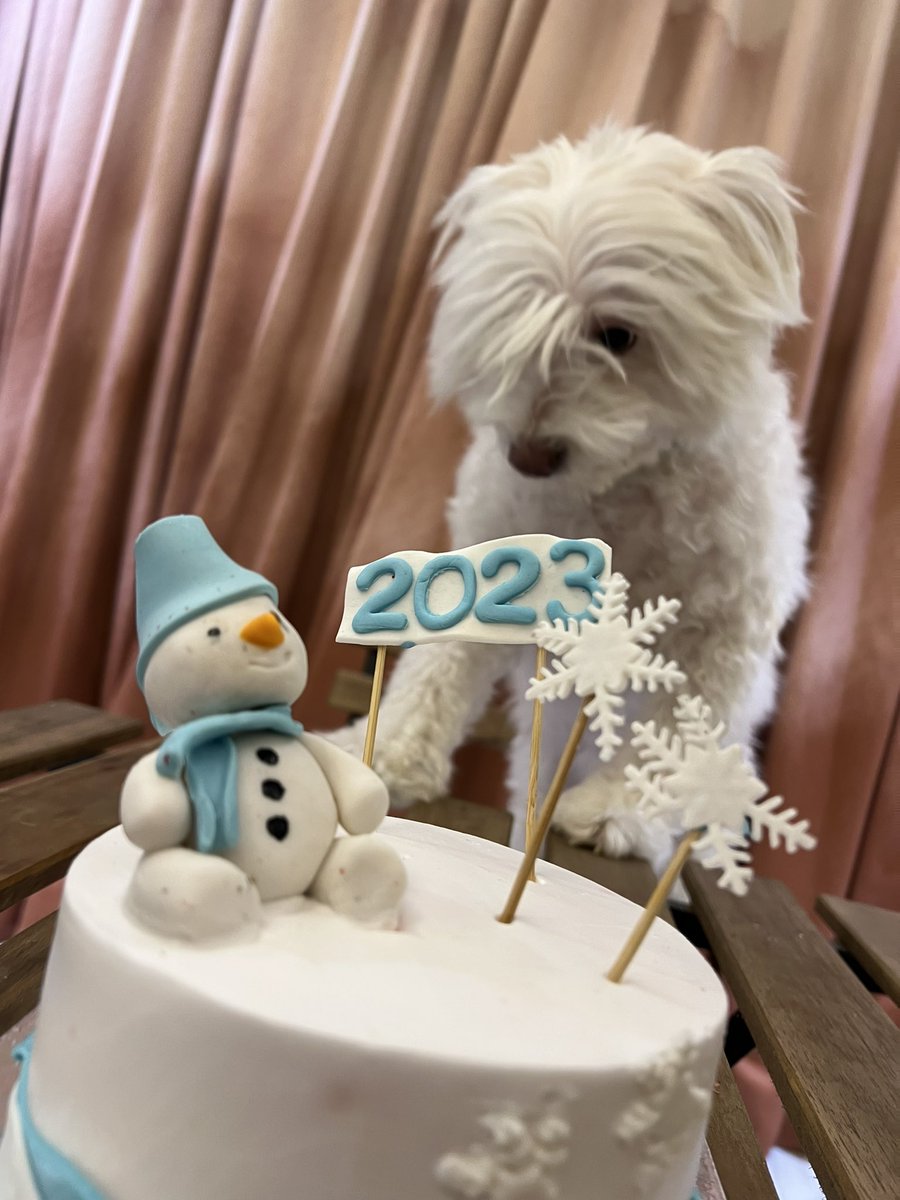 Happy New Year!!!! 

Dear 2023,
Please be nice to me..!!!🤍
