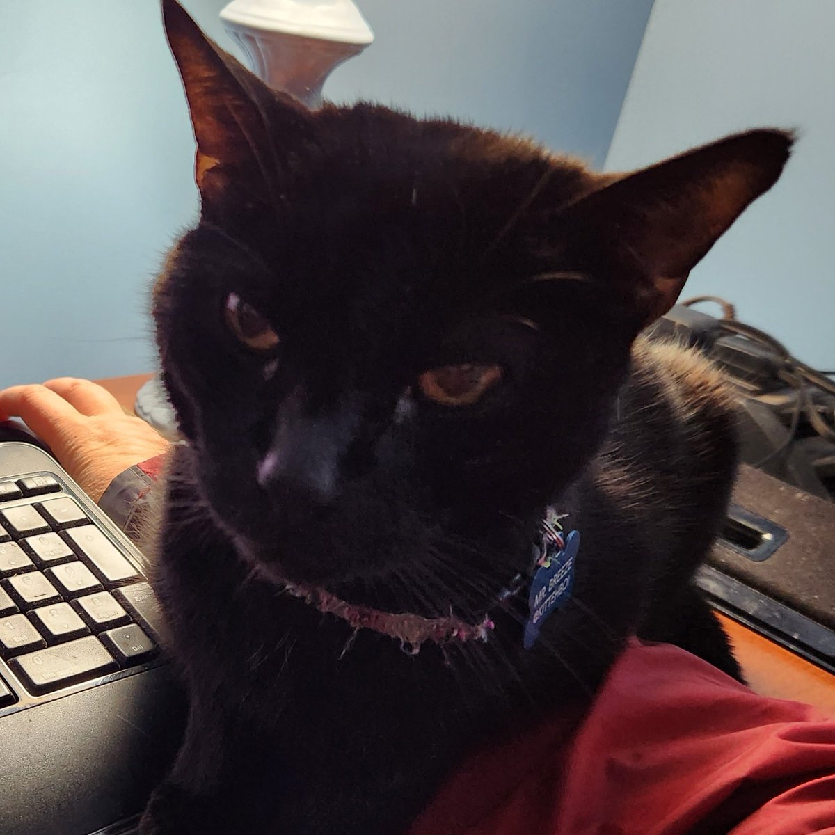 Spencer Russ Berrie RIP: Ollyted Pasikas tweet media