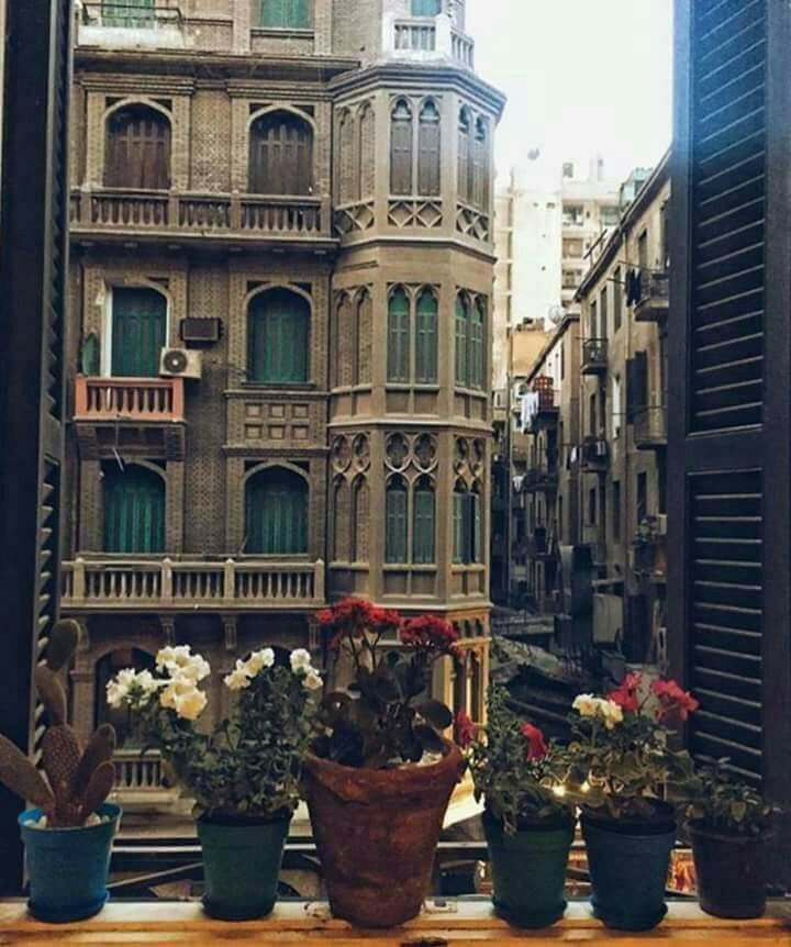 🄰🄼🄰🄻❤🅂🧁🄰🅈🄼🄰🄽4ᵉᵛᵉʳ💝🍨🍡🍭🍫🎶🎹🎶 tweet media