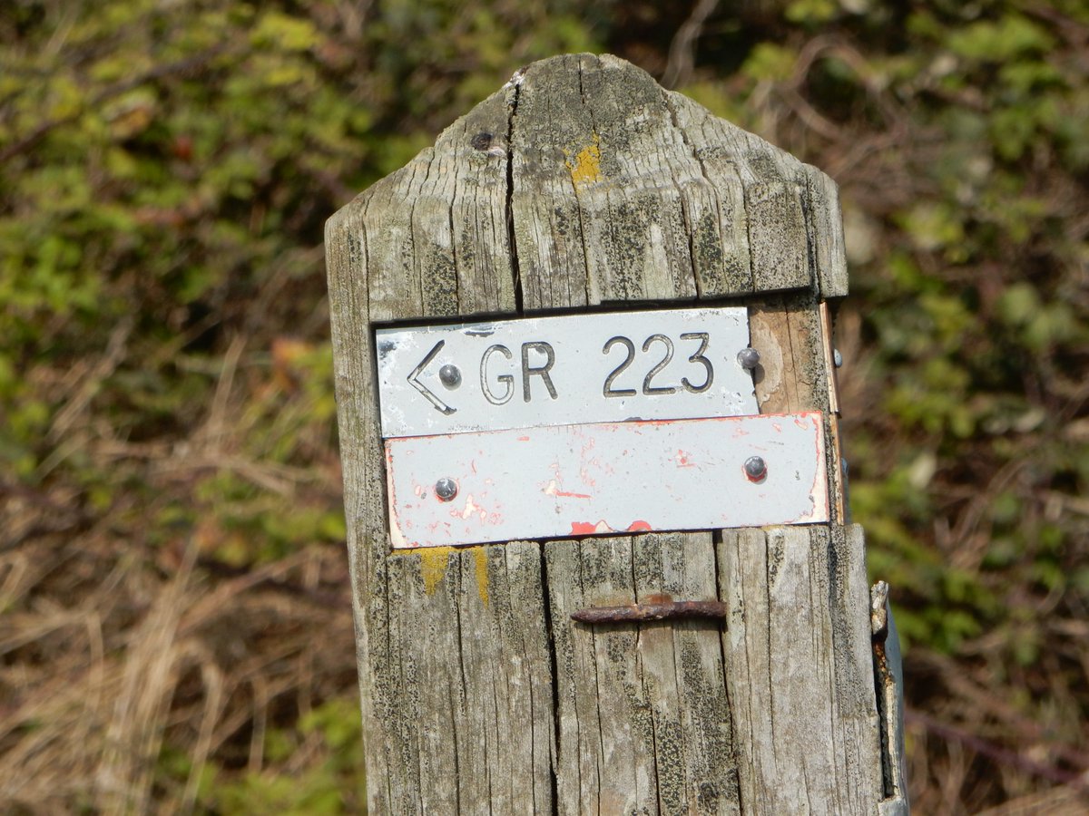 GregoryCapra's tweet photo. On a testé le GR 223 ! #rando #randonnee #trail #runningtrail #trek #trekking #Normandie #Normandy
https://t.co/ST4Tnr0YBe https://t.co/3sl0UgY1AK