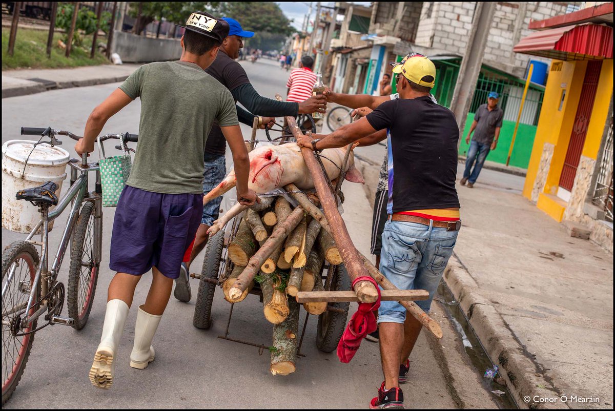 KidCon's tweet photo. Feliz Año Nuevo! The New Year is Cuba's big festive holiday with families roasting pigs over barbecue fires in their backyard or out on the street while neighbours bring rum, beer & other essentials.. photos from #Bayamo #Holguín #Baracoa in #ElOriente #Cuba #FelizAnoNuevo2023 https://t.co/AWZzxpU2Py