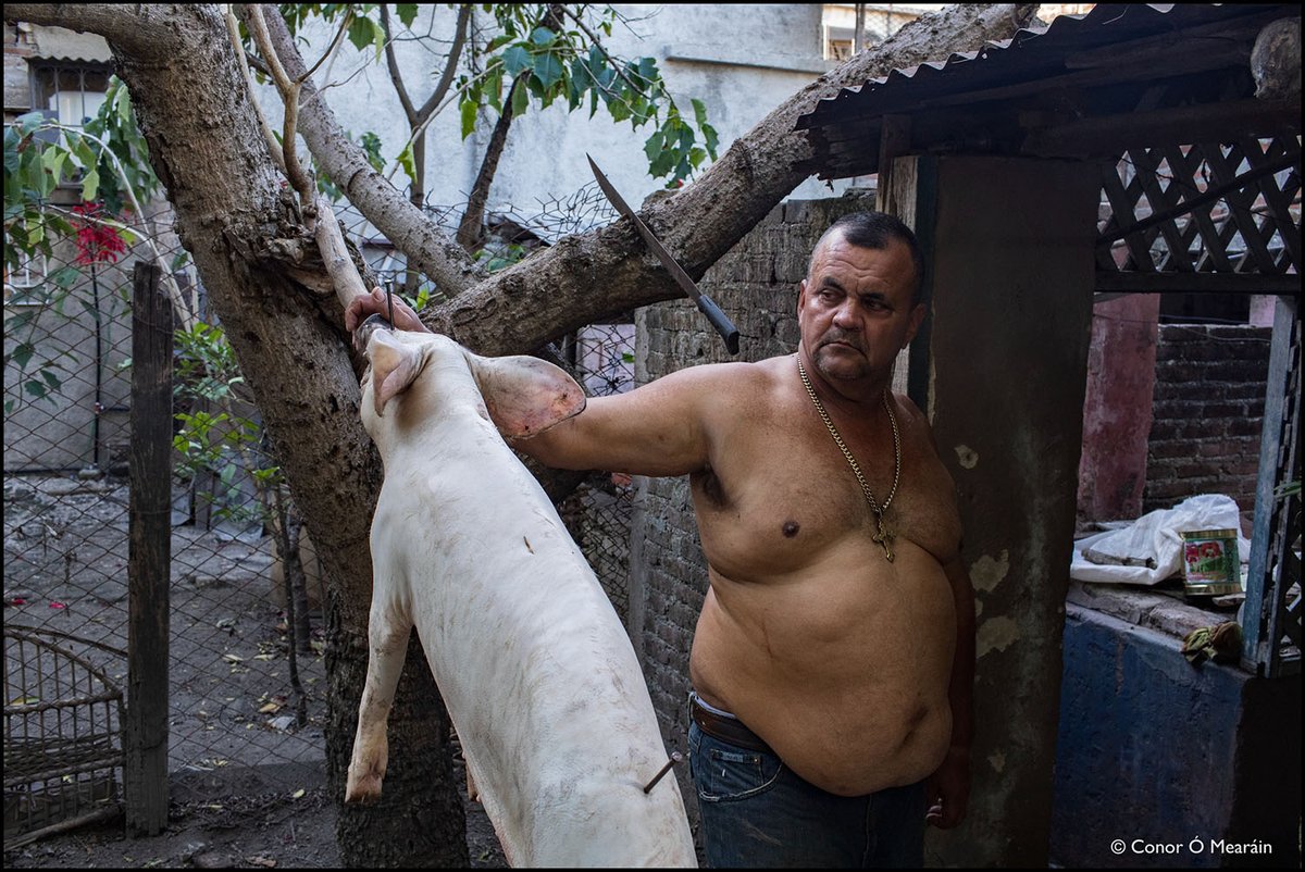 KidCon's tweet photo. Feliz Año Nuevo! The New Year is Cuba's big festive holiday with families roasting pigs over barbecue fires in their backyard or out on the street while neighbours bring rum, beer & other essentials.. photos from #Bayamo #Holguín #Baracoa in #ElOriente #Cuba #FelizAnoNuevo2023 https://t.co/AWZzxpU2Py