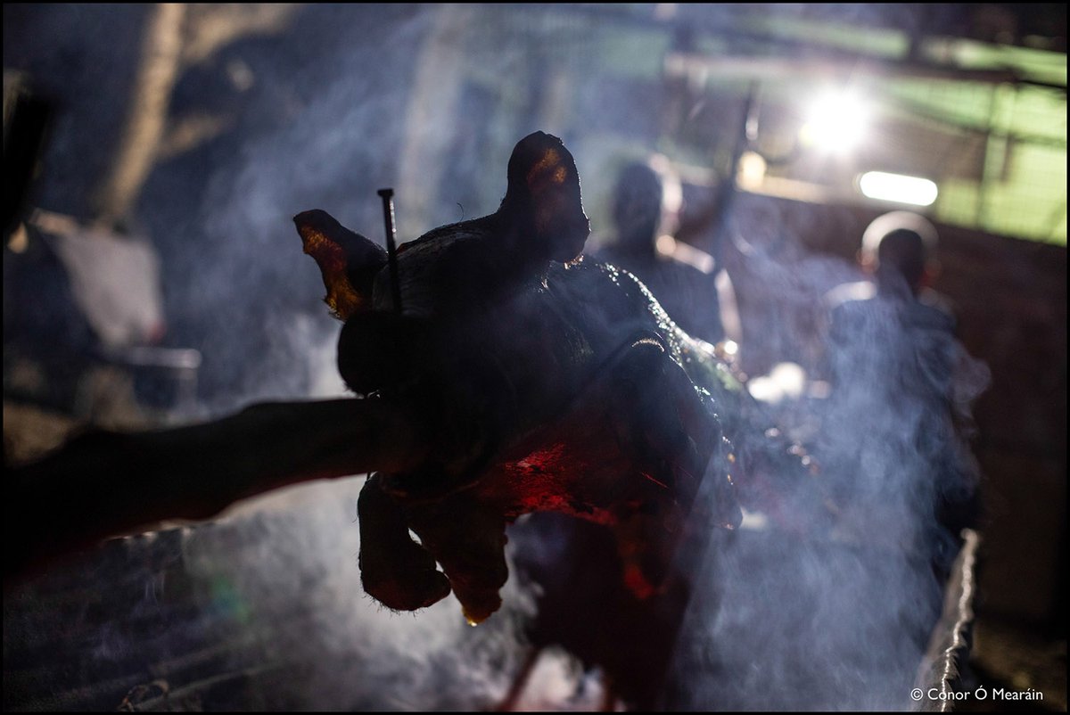 KidCon's tweet photo. Feliz Año Nuevo! The New Year is Cuba's big festive holiday with families roasting pigs over barbecue fires in their backyard or out on the street while neighbours bring rum, beer & other essentials.. photos from #Bayamo #Holguín #Baracoa in #ElOriente #Cuba #FelizAnoNuevo2023 https://t.co/AWZzxpU2Py