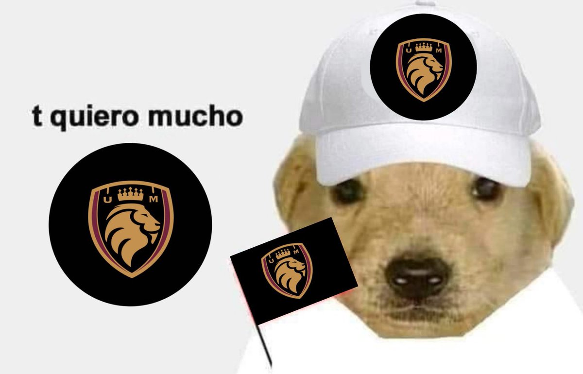 DjMaRiiO tweet media