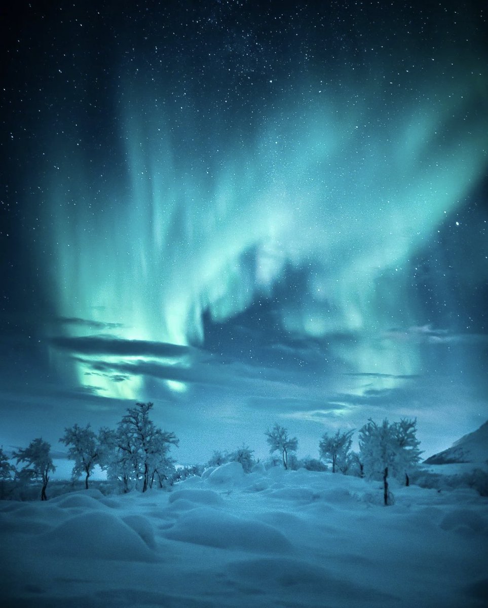 Arctic Nights, Finland ✨