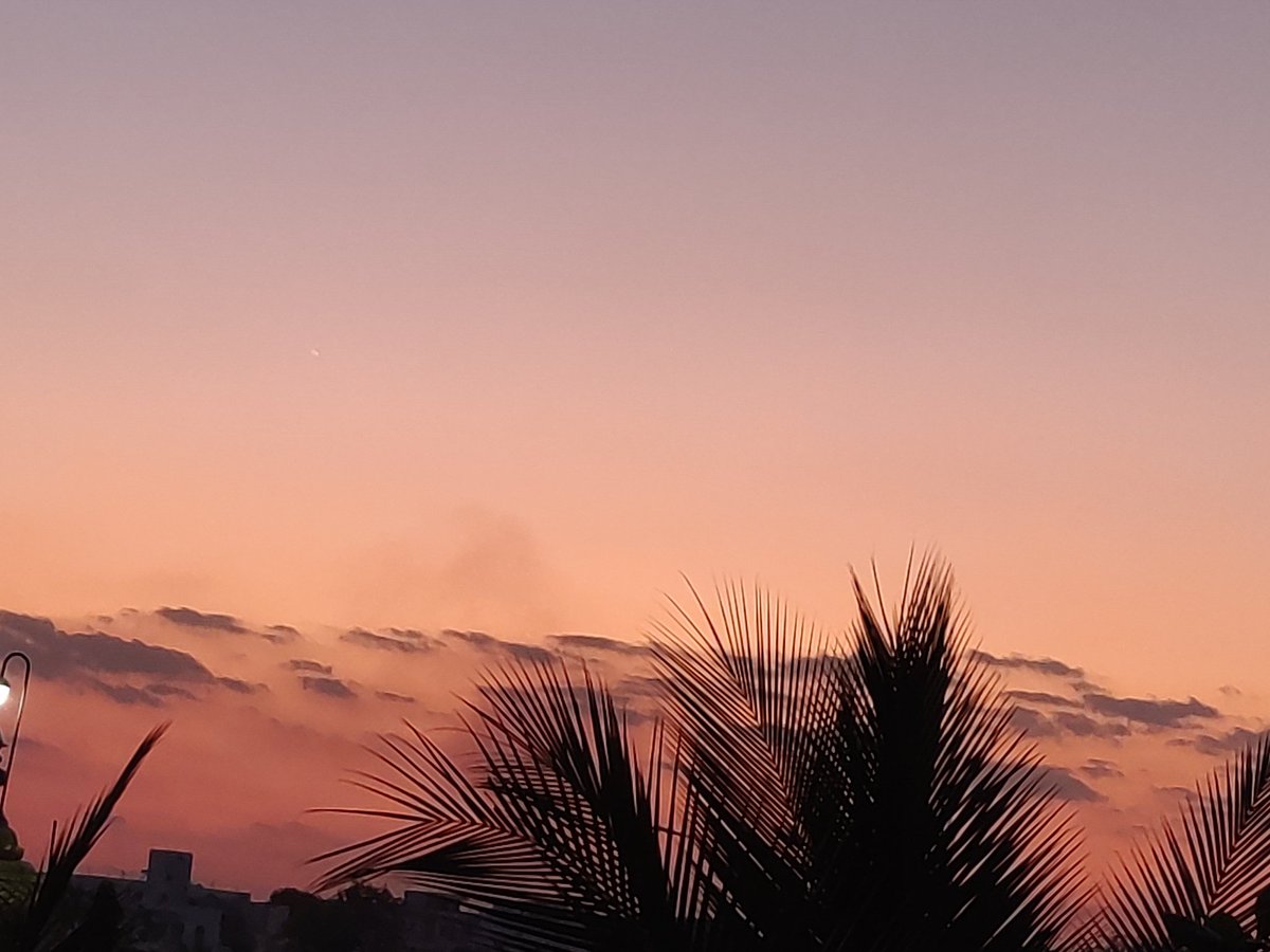 pho_enix8's tweet photo. To the sky.....To ♾️❤️‍🔥
#sky https://t.co/uJpzp96g3w