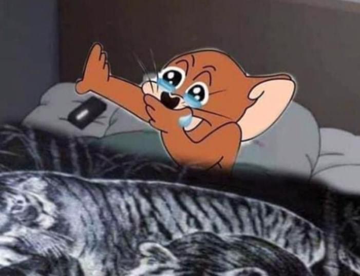 Yo, despertándome temprano el primer domingo del año.