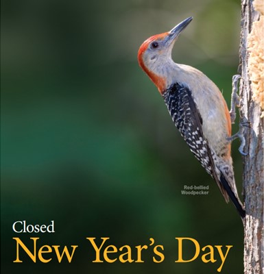 Welcome to 2023!🎉Do you have any New Year birding goals? Whether it's a regular or a new backyard visitor - what bird are you hoping to see this year? 🤞🏼🐦#newyearbirds