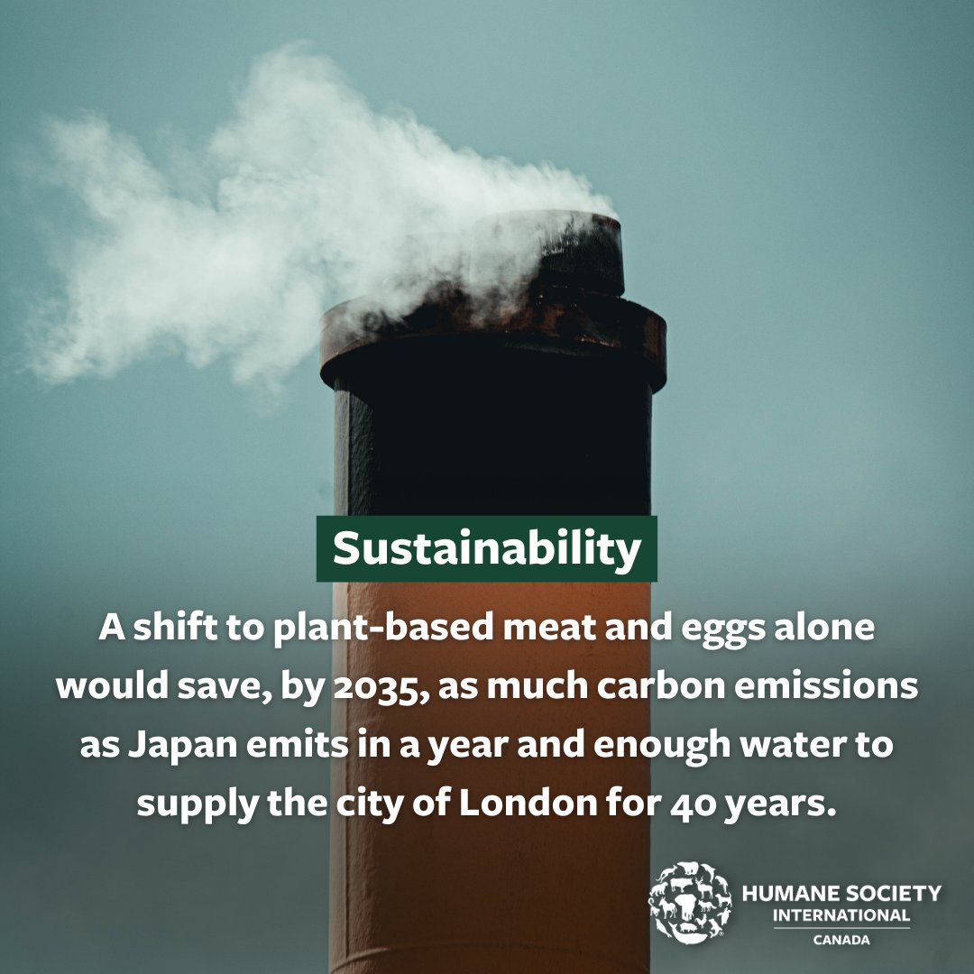 humaneworldcan's tweet photo. What is #Veganuary? It's an annual challenge to adopt a plant-based/vegan diet for the month of #January. 

Our #ForwardFood program is proud to promote plant-based eating for three main reasons: animal welfare, sustainability and health.

Our resources: https://t.co/MJsLrF3Xuc https://t.co/AEB2VhV4fg