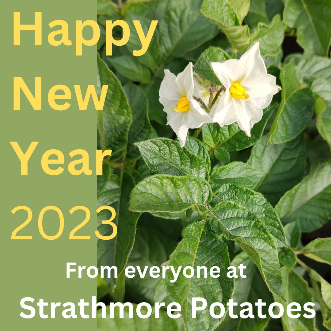 Happy New Year to everyone.