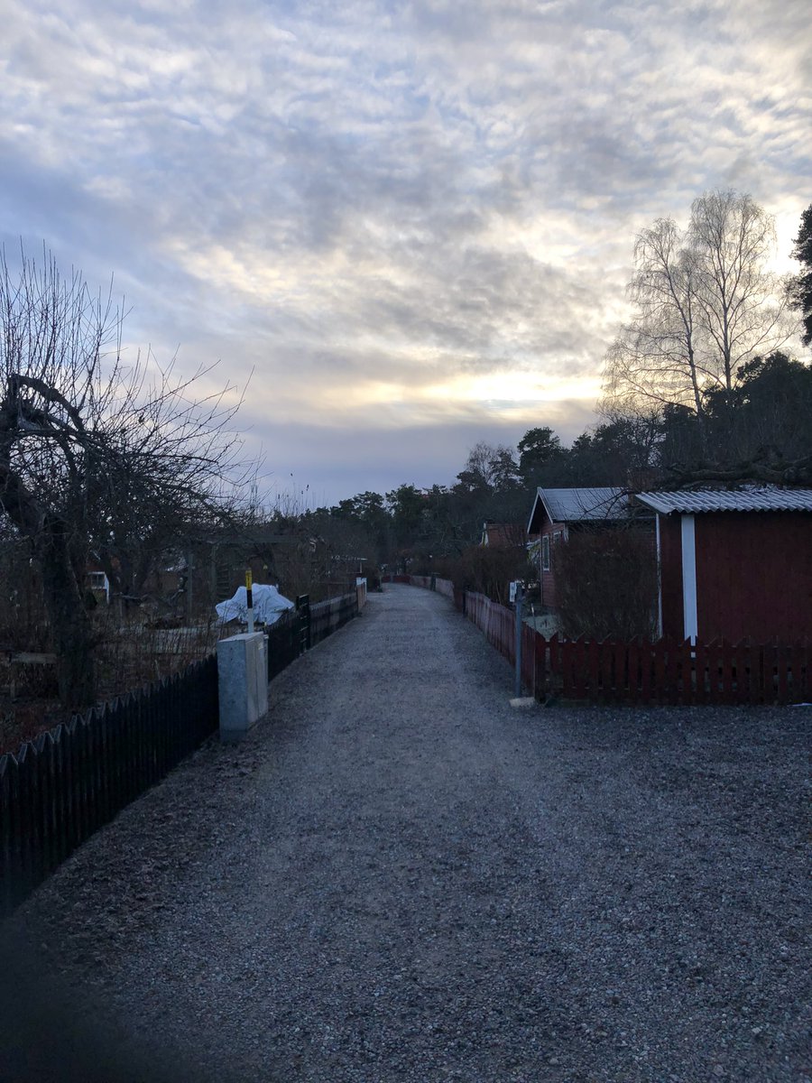 Svucka's tweet photo. A very short pre match walk… I feel almost as dead as I look 😎#COYS #CantSmileWithoutYou #PreMatchWalk https://t.co/T5GYKzENX3